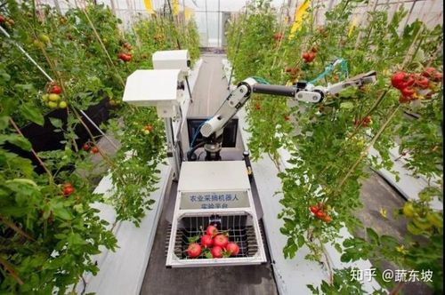 農業機械化 從工具革命到農業文明的整體躍遷